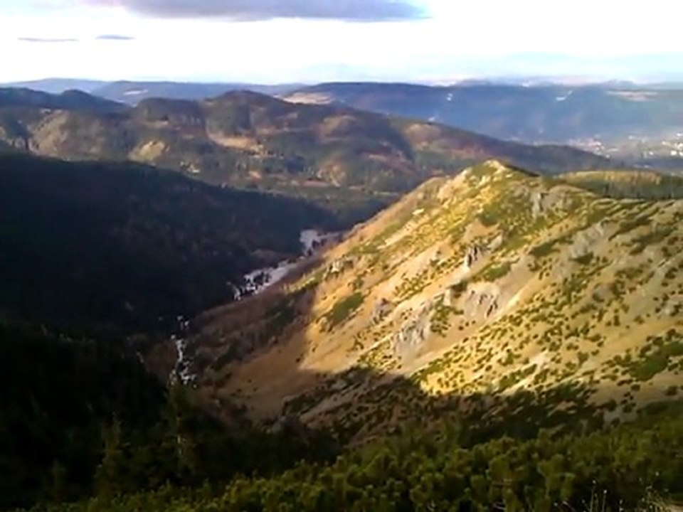 GIEWONT