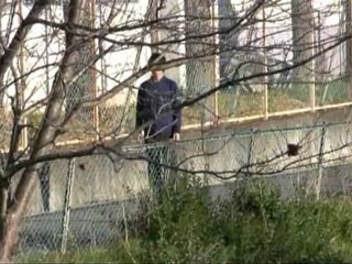 僕らのエース編