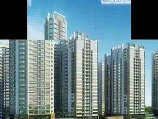 Dự án Chung cư Căn hộ Thăng Long Petroland Quận 9