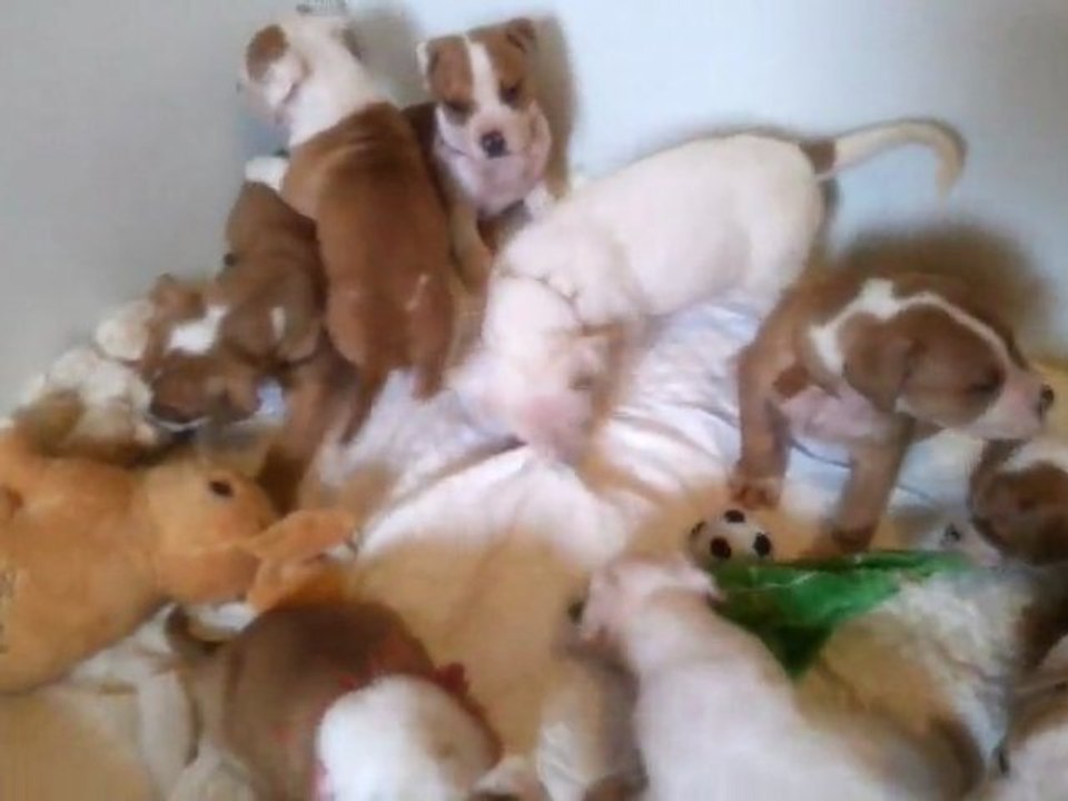 video-2011-11-27-10-24-55