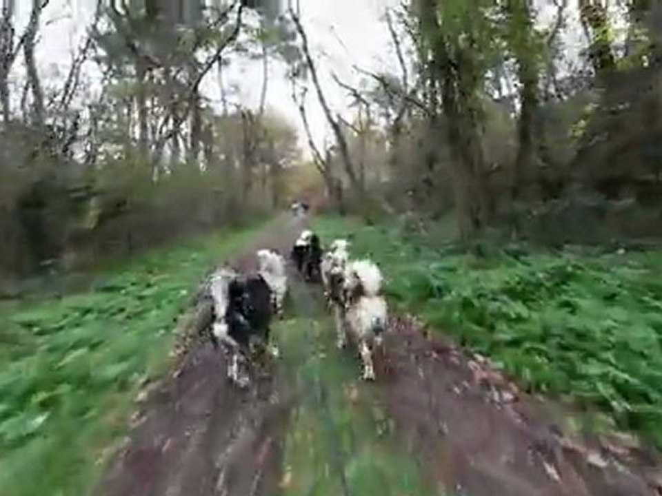 Rando scévolles 2011