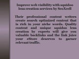 Squidoo Lens Creation | services, high pr, writing, india.