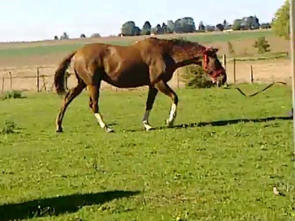 Cloé qui travaille fandango