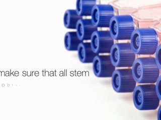 Get More Information On Stem Cell Financing