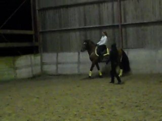 Don Amado, cours du 25/11/11