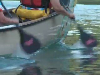The Yukon River Quest & Paddlers Abreast