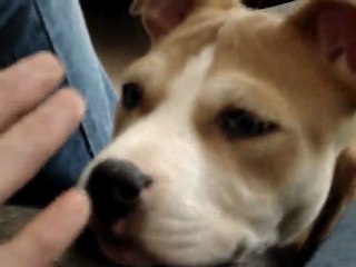 3mois et 6 jours (2)