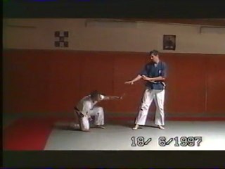 -Yoseikan Aiki jujutsu  -