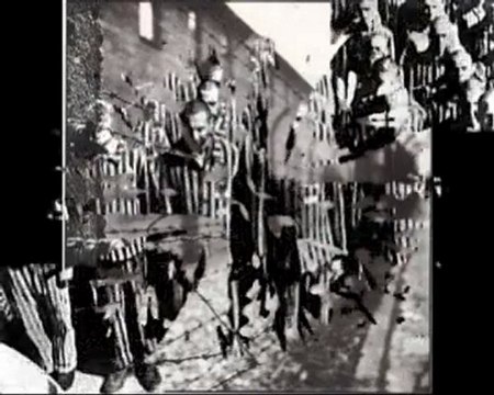 Altarimini. Giorno della memoria: anche Rimini non dimentica