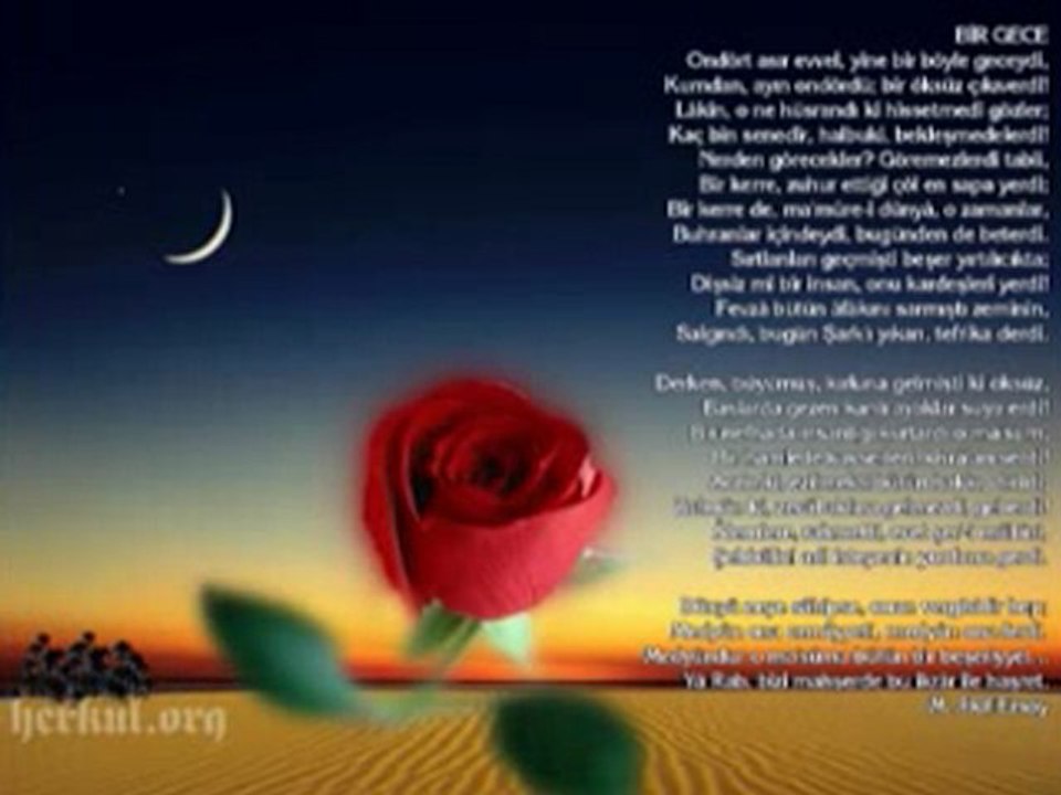 Bir Gece