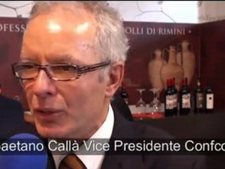 Vinitaly 2010: il reportage di Altarimini