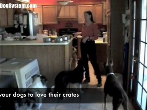 Dog Training - Crate Training Basics
