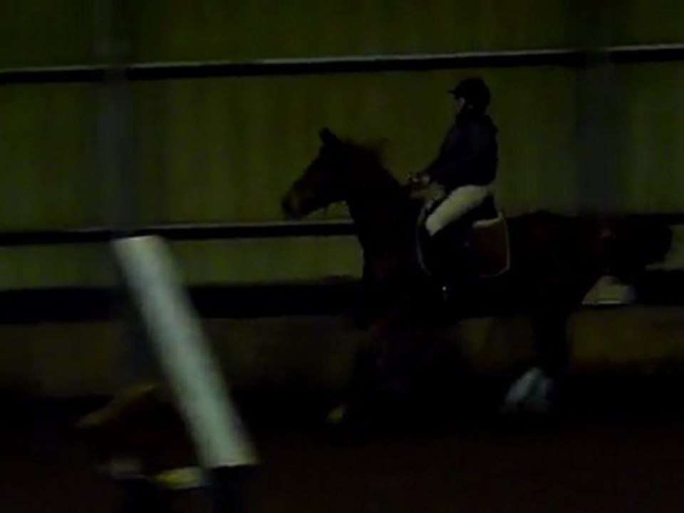 wilma et ultime 80