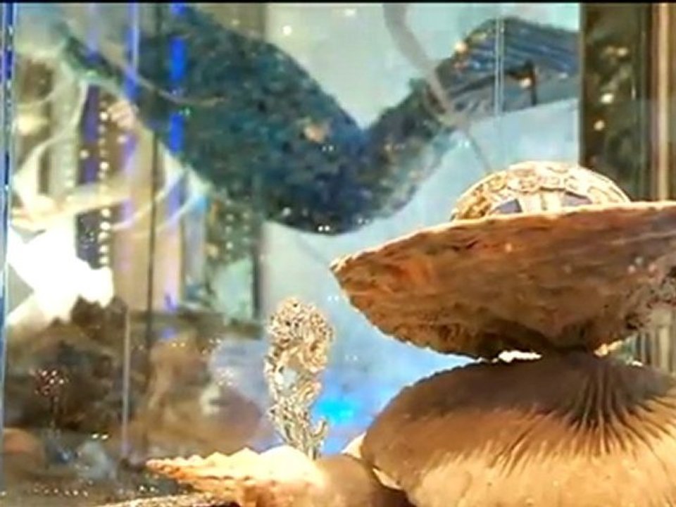 "REAL GOLD "TVA - Videos & News aus Regensburg und der Region - Blizzlicht