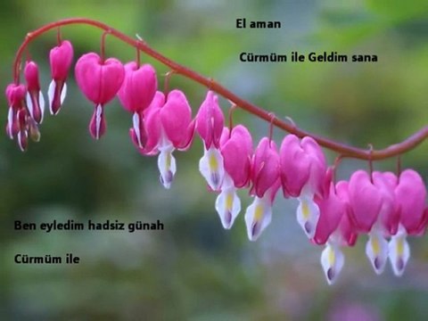 URFASEVDAM CÜRMÜM İLE GELDİM SANA