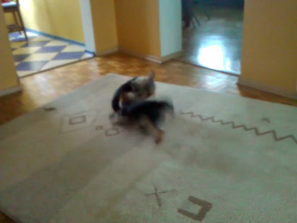 Lolek i Lola