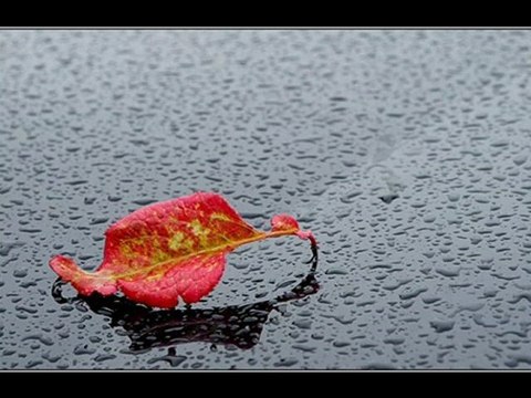 Top New House Music Mix December 2010 [Club Hits & Dance Music Clubbing]