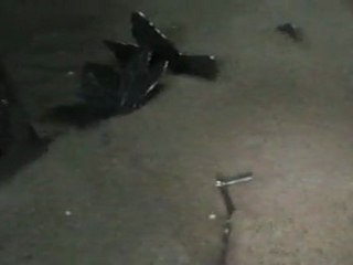 Vibrasyonlu kurutma (mısır granüllü) AVK 250  UYGULAMA