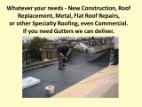 Home Roofing Palm Harbor, Palm Harbor Roofer, Roofing Contractor