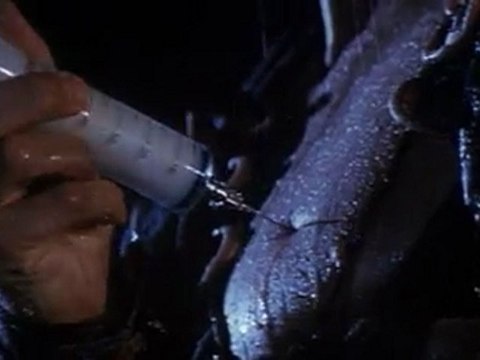 t'aurais dû prendre tes médicaments...