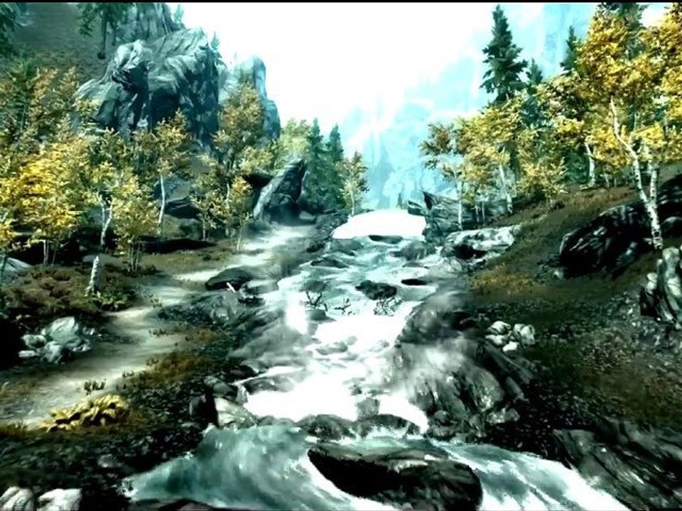 SKYRIM VIDEO