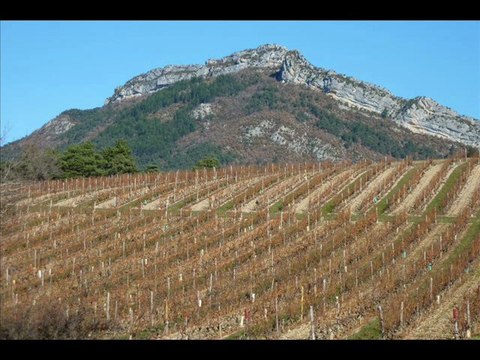 Montagne le Devès (26 Haut Diois )