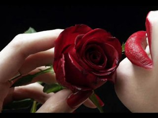 Yaşar YAĞMUR - Canım Efendim