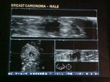 SKAIR-LEVY New diagnostic modalities in breats imaging 2011