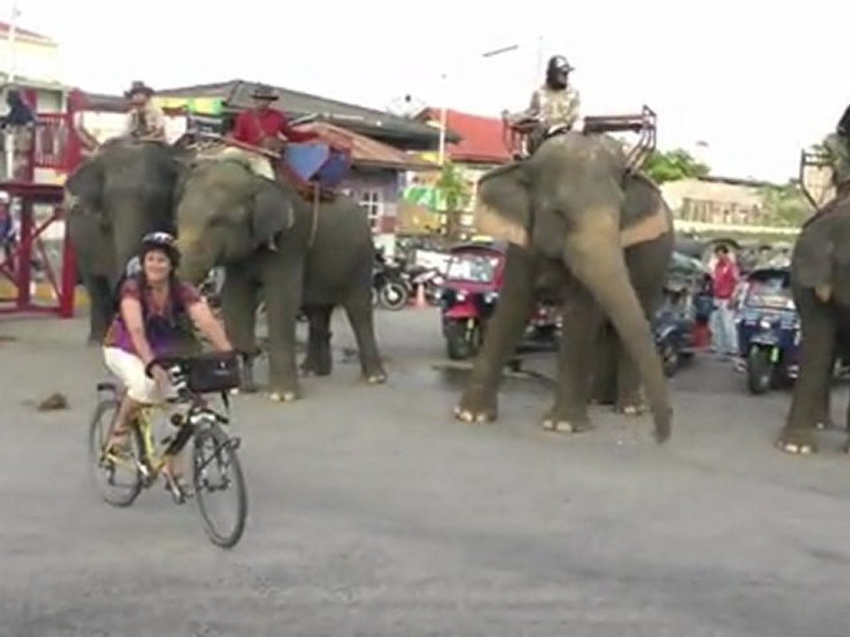 Léa j' ai oublié commment on fait rentrer 4 éléphants dans une 2 chevaux