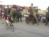 Léa j' ai oublié commment on fait rentrer 4 éléphants dans une 2 chevaux