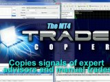 Forex EA, forex trading, forex tradings