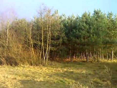 moja najbliższa okolica