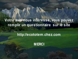 Presentation Eco Totem