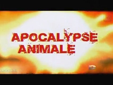 Apocalypse Animal, Deuxième Extinction [Supervolcan] - 1 de 3