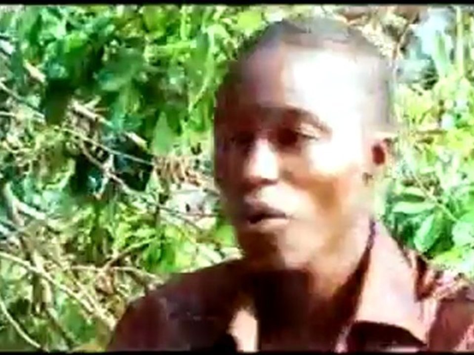 nouveaute guineenne 3