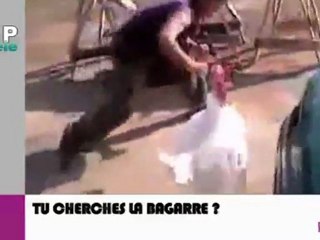 Zapping du net du 29 novembre 2011