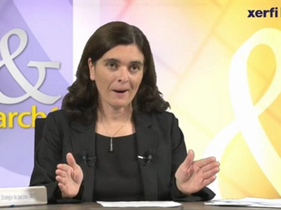 Xerfi Canal Isabelle Senand La guerre des prix aura-t-elle lieu dans les IAA?