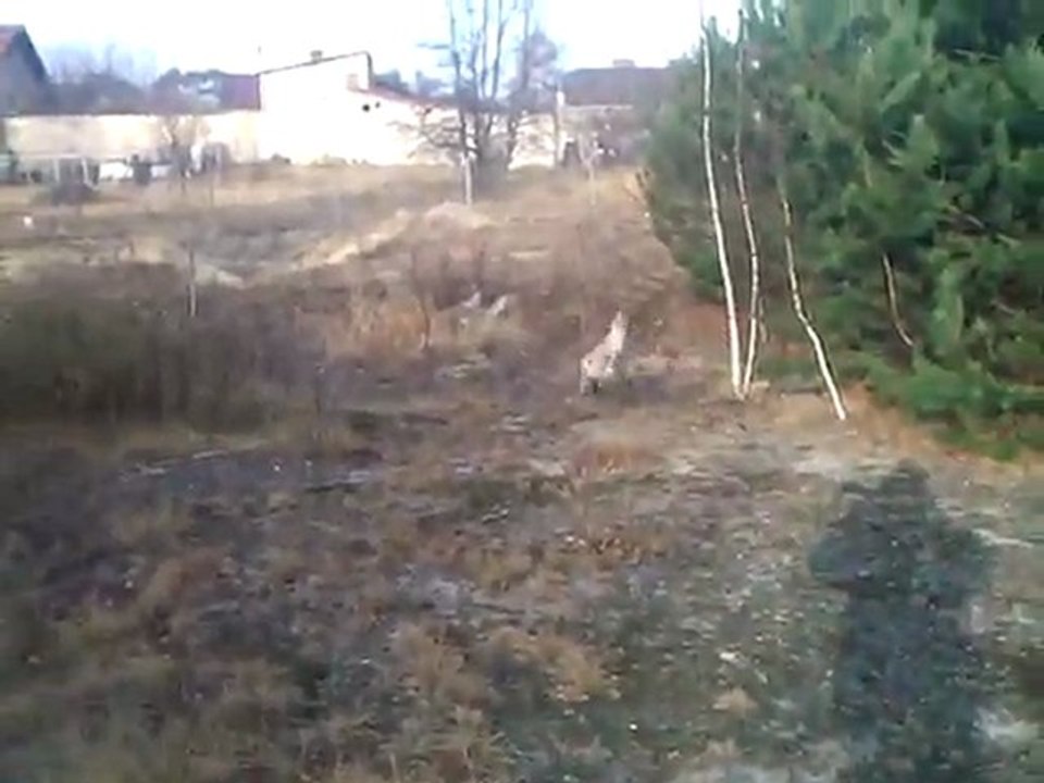 Frodo-Spacer 720p - part1