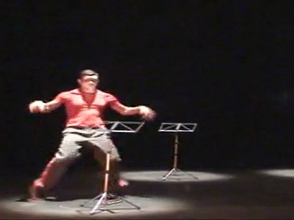 DANSEURS HIP HOP COMPAGNIE KÄFIG LE 28 11 2011