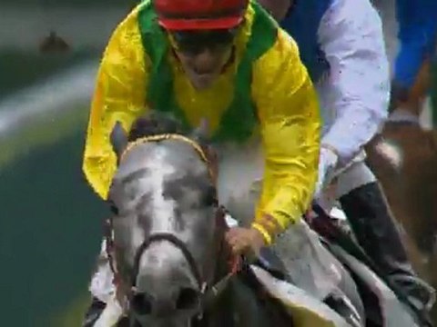 Never on Sunday, nouvel étalon au Haras de Grandcamp