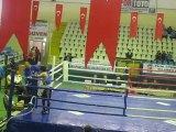 Ferhat pehlivan Türkiye boks şampiyonası 2011