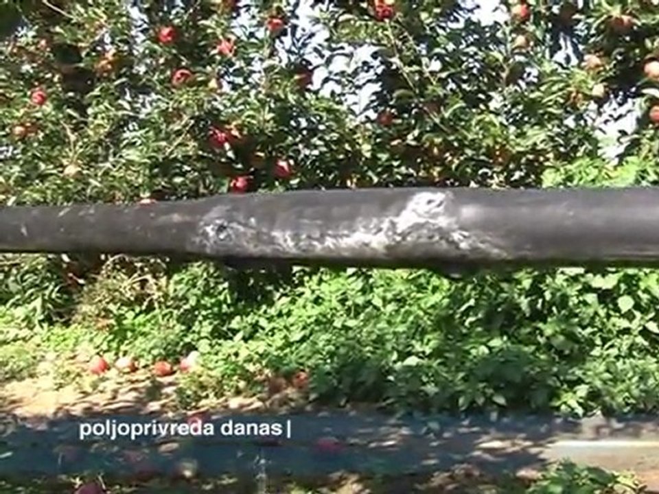 Poljoprivreda danas 29.11.2011.