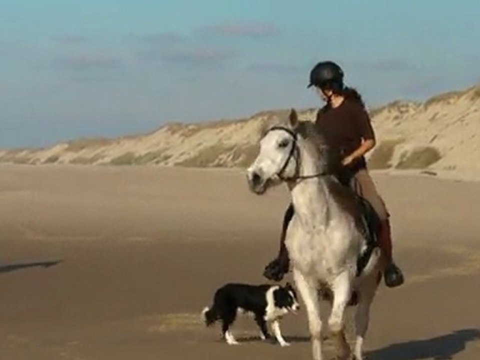 une journée à la plage