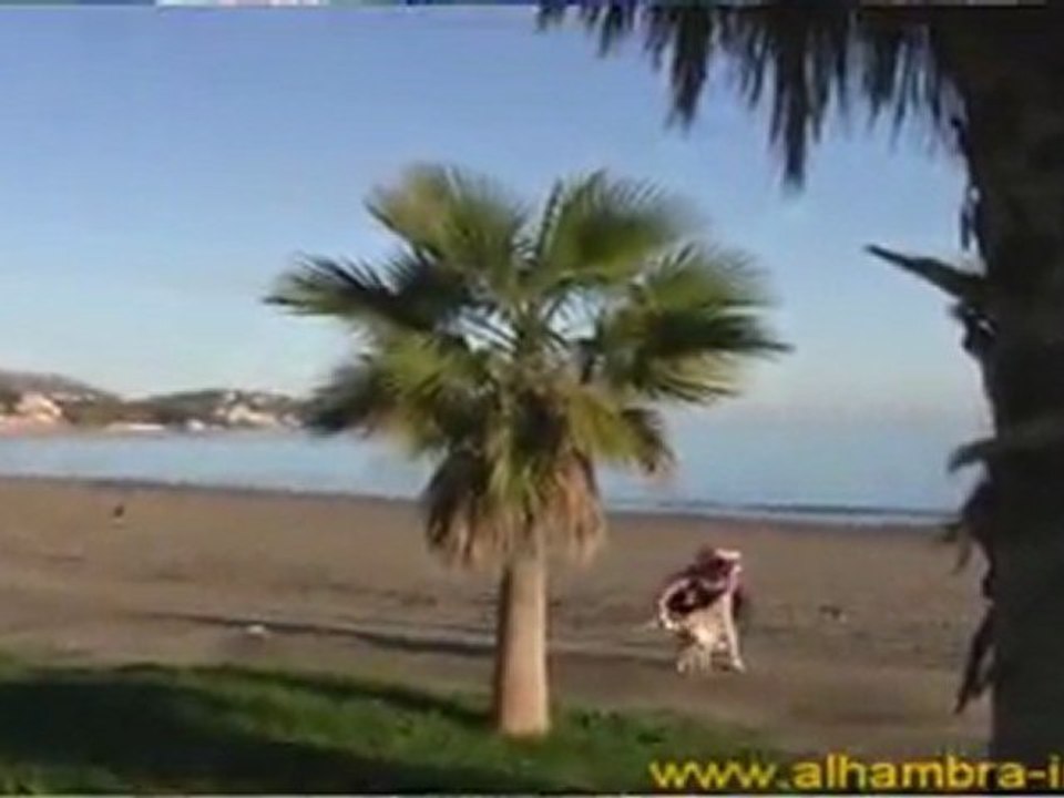 Learn Spanish language: Spanish courses online