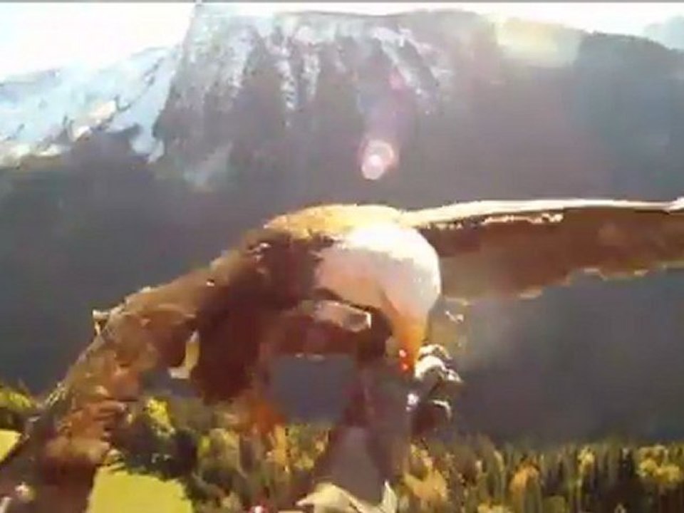 Mieux qu'un jeu vidéo, la vue depuis le dos d'un aigle en plein vol