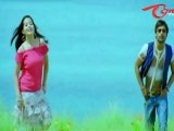 Priyudu Latest Telugu Movie Song Trailer - Bakkodera - Varun Sandesh - Preetika Rao