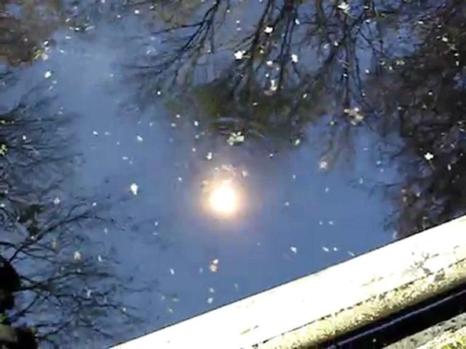 Pétard Demon Big-Bang