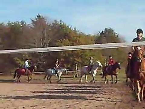 Cours d'équitation LuciexHorse