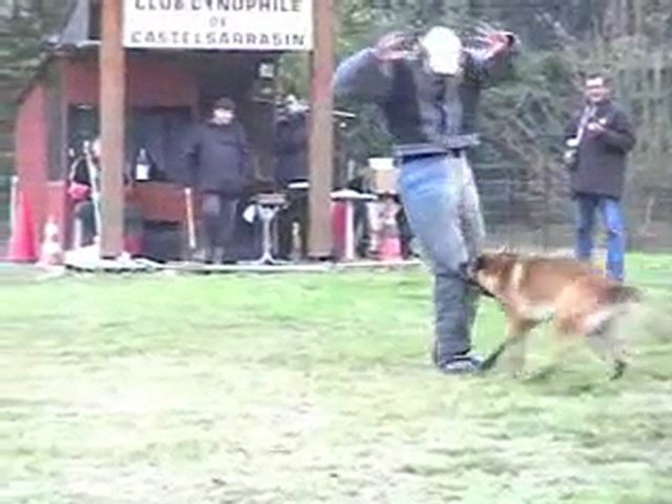 diuke en ring 2