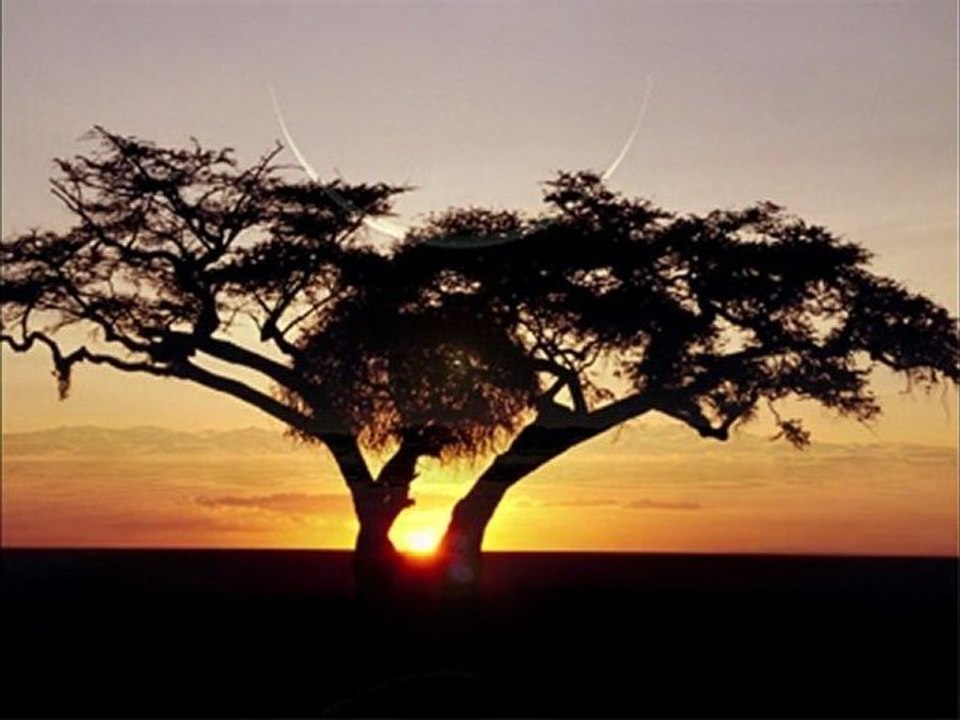 A TOUS CEUX - DON VALDES - Derviches Dubbers Dub - SCOOP 2009